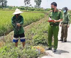 Ngăn chặn hành vi dùng điện bẫy chuột